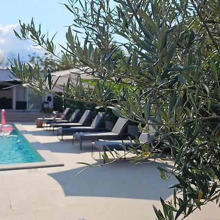 Noa's Pool House *